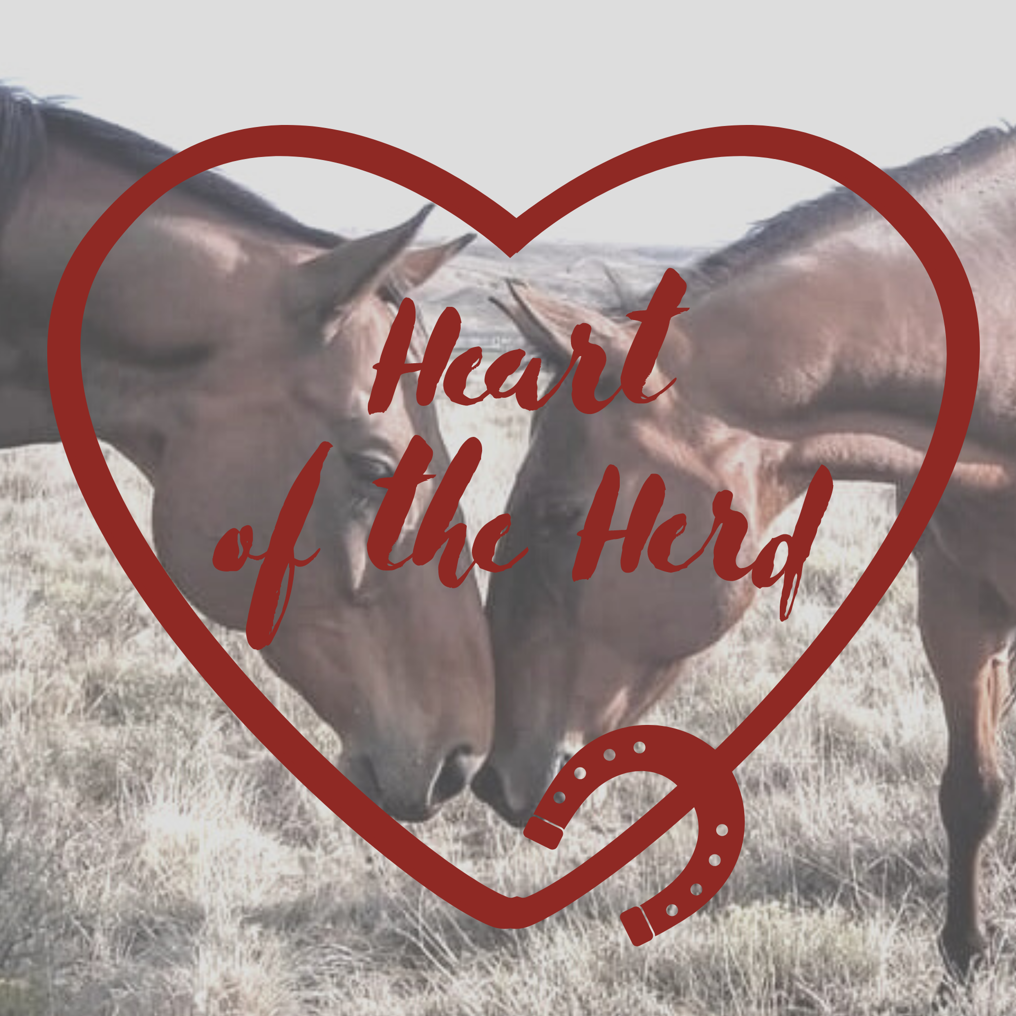 Become a Heart of the Herd with a Monthly Donation