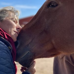 Become a Heart of the Herd with a Monthly Donation